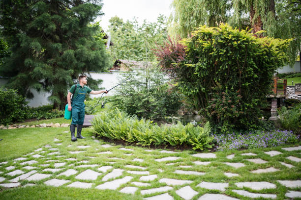 Best Tree Trimming and Pruning  in Shakopee, MN